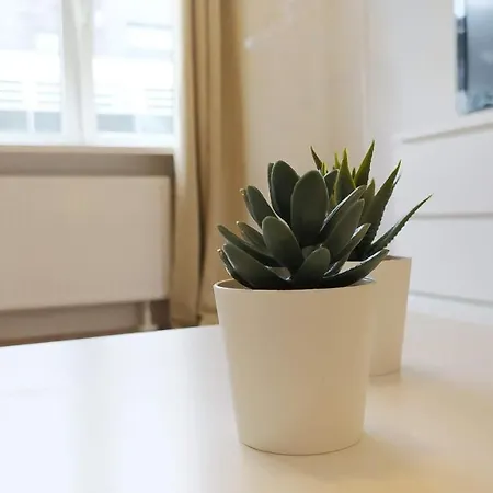 Apartment Moderne Im Stadtzentrum *
