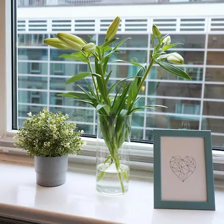 Apartman Moderne Im Stadtzentrum Kiel